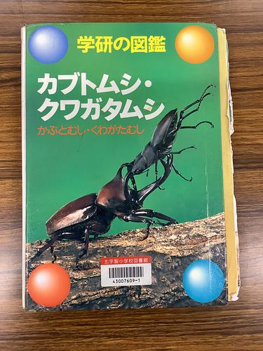 学研の図鑑　カブトムシ•クワガタムシ