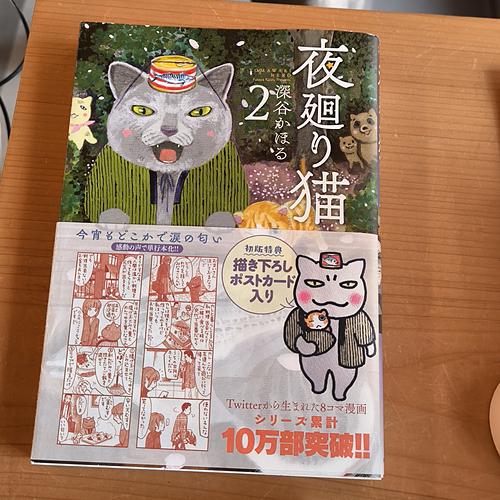 夜廻り猫2