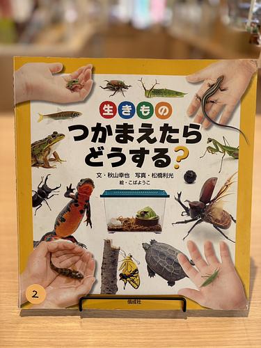 生きもの　つかまえたらどうする？