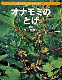オナモミのとげ