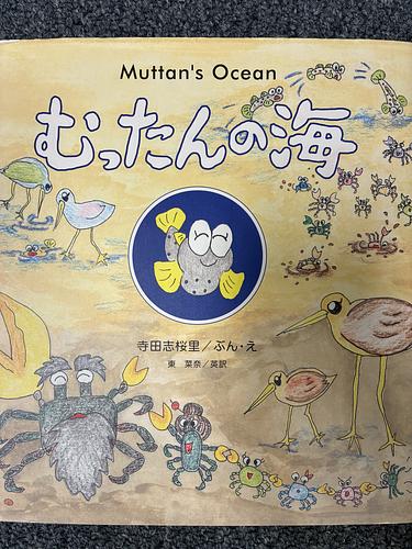 むったんの海