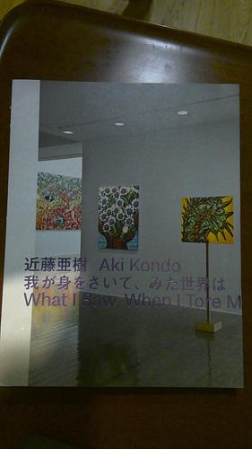 近藤亜樹我が身をさいて、みた世界は