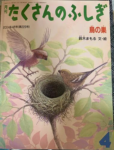 鳥の巣