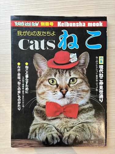 我が心の友たちよ　ねこ