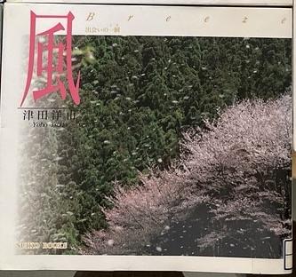 風　出会いの一瞬