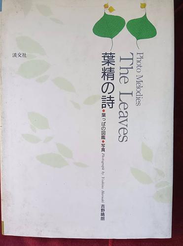 The Leaves 葉精の詩