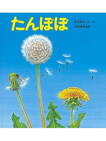 たんぽぽ