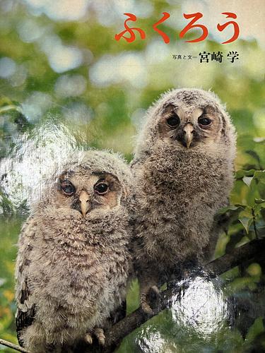 ふくろう