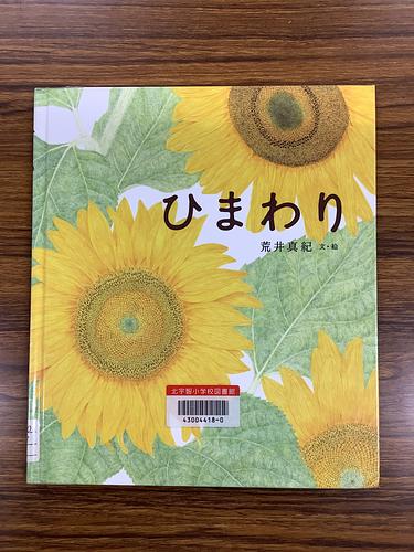 ひまわり